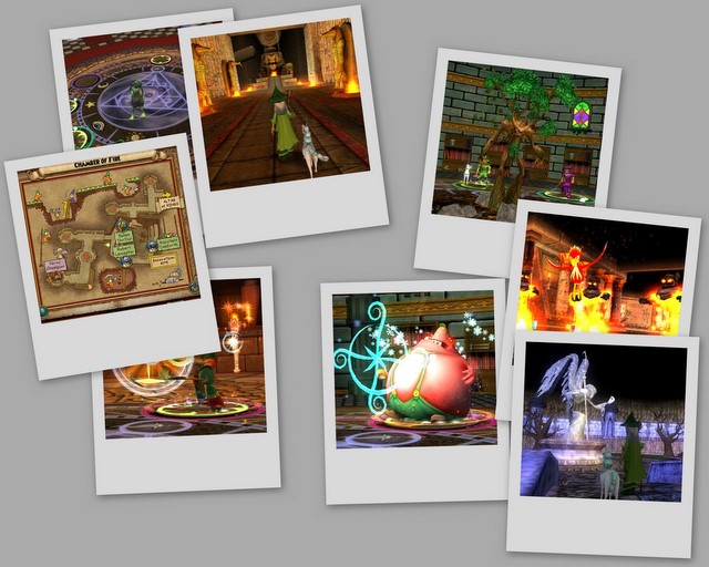collage4