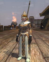 everquest2-2008-12-10-00-30-49-29