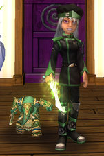 wizardgraphicalclient-2009-02-14-12-30-34-84