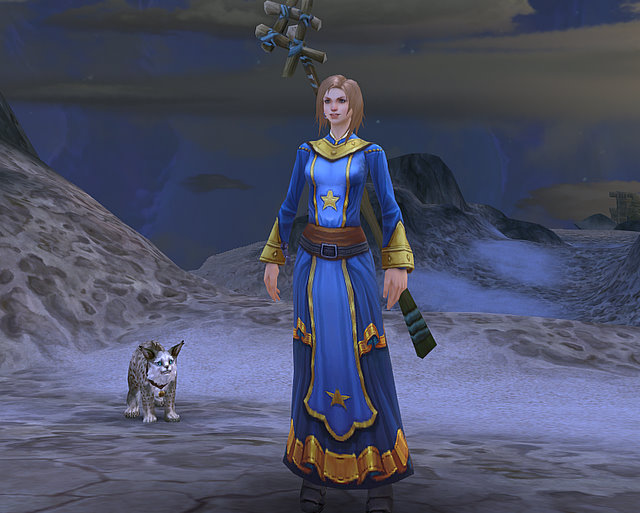 Druid + Pet