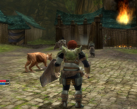 Playing DDO like a house on fire!