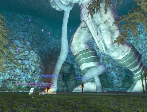 Fungus Grove