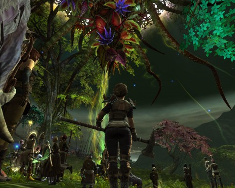 A Life Rift