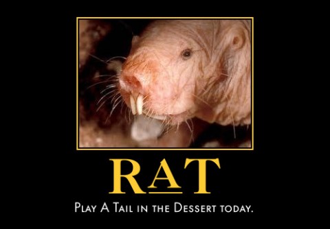 A Tail in the Dessert