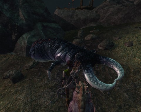 You see these nasty suckers everywhere in KB