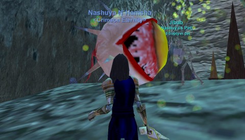 Lord Soptyvr in the Beholder Maze