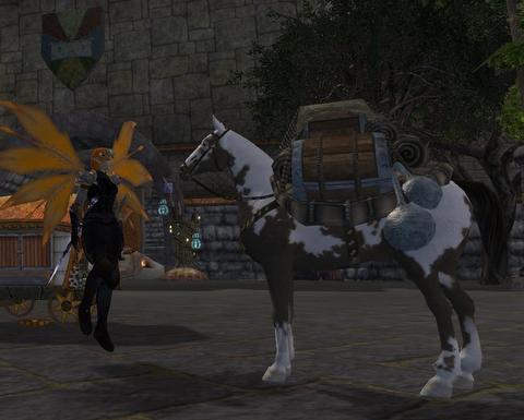 New Pack Pony!