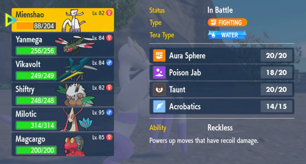 Current team