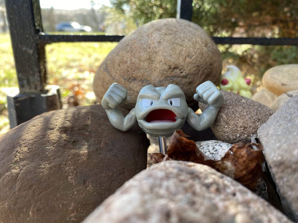 Geodude dashed out of the house when I opened the door. He just wanted to hang out with some friends.