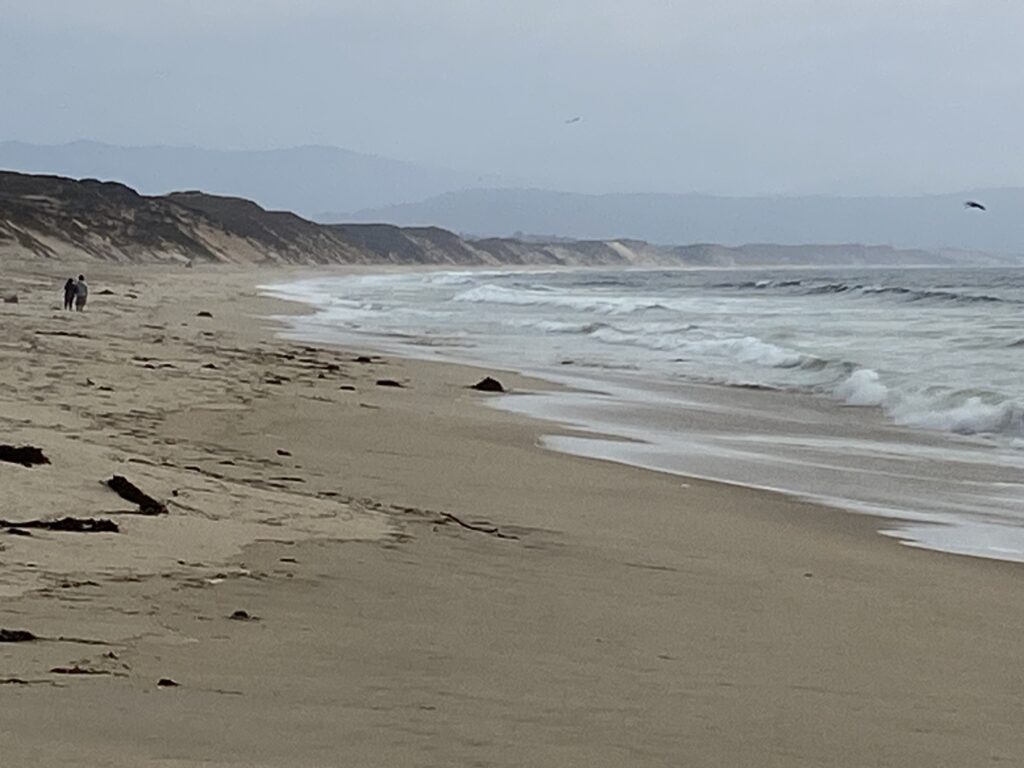 Marina State Beach