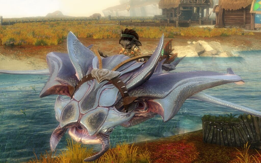 Skimmer